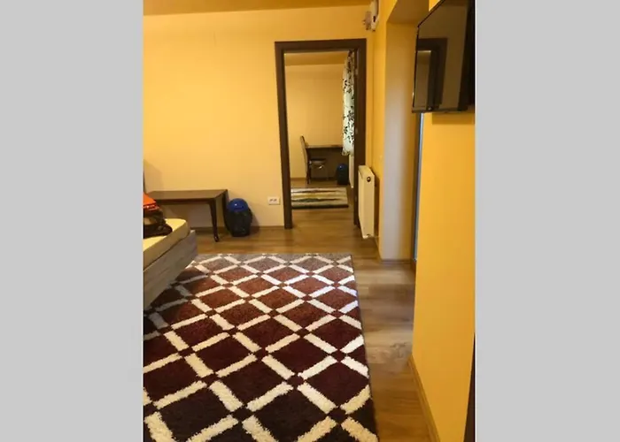 Casa Roxana Holiday home