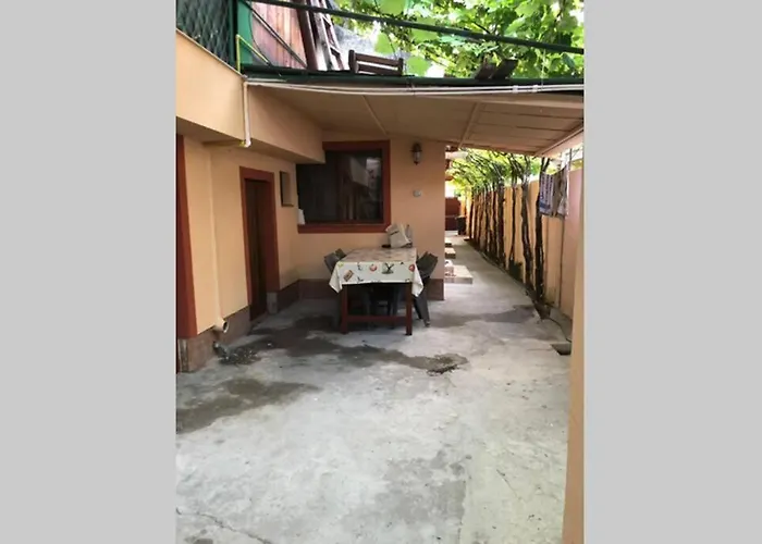 Casa Roxana Holiday home *